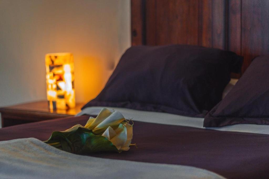 Cortijo La Casona & Bungalow Al Pie De La Montana San Cristobal de las Casas Luaran gambar
