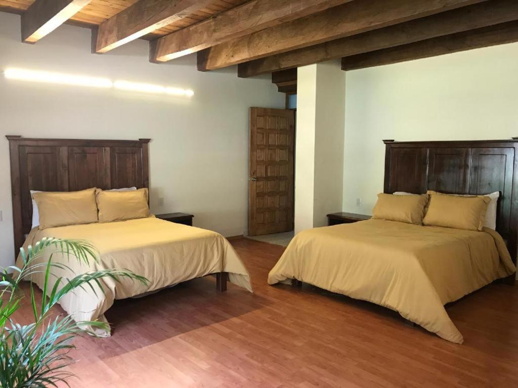 Cortijo La Casona & Bungalow Al Pie De La Montana San Cristobal de las Casas Luaran gambar